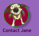 Contact Jane