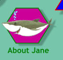 About Jane