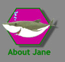 About Jane