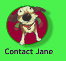 Contact Jane